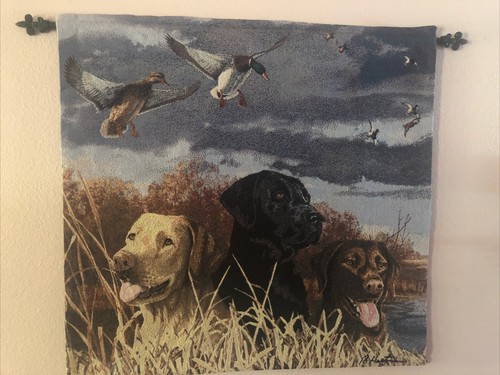 Labs black chocolate - black, labrador